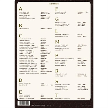 PRIMA PRSP-49 大きなサイズの音楽用語ファイル80th クリアファイル (菊倍サイズ収納可) 画像1