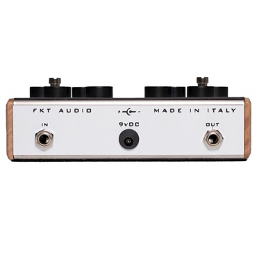 FKT AUDIO The Fretless [Chorus - Reverb - Midrange EQ] 画像1