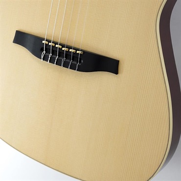 Godin Multiac Nylon SA(Synth Access) 画像4
