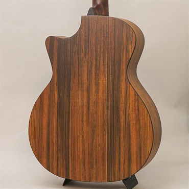 EASTMAN AC222-1CE CLA イーストマン 画像1