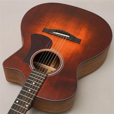 EASTMAN AC222-1CE CLA イーストマン 画像4