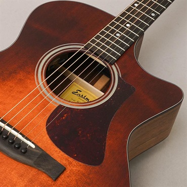 EASTMAN AC222-1CE CLA イーストマン 画像6