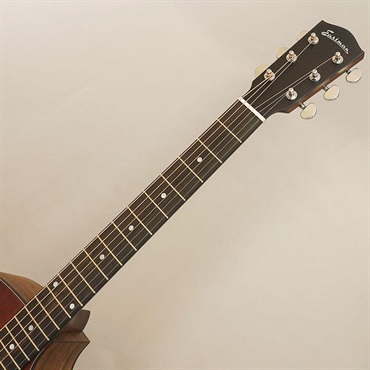 EASTMAN AC222-1CE CLA イーストマン 画像8