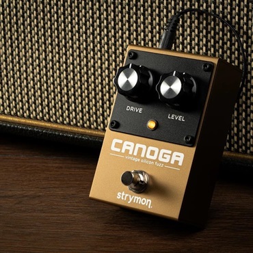 strymon Canoga ファズ 画像2