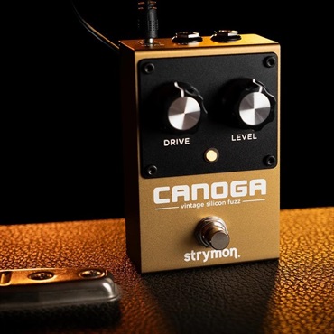 strymon Canoga ファズ 画像3