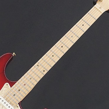 unknown USED 中古 Addictone Custom Order Guitar [SN.447] アディクトーン 画像4