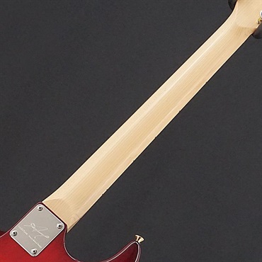 unknown USED 中古 Addictone Custom Order Guitar [SN.447] アディクトーン 画像5