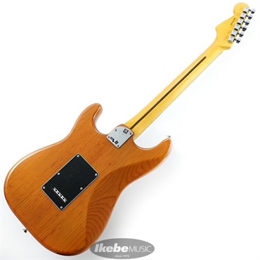 Fender USA American Professional II Stratocaster (Roasted Pine /Rosewood) 【特価】 画像2