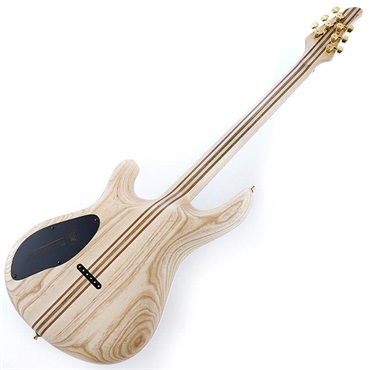 MAYONES Regius 6 (Trans White Satine w/Glod Hardware) 【特価】 画像2
