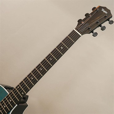 TAYLOR 【夏のボーナスセール】 214ce Plus Special Edition (Trans Blue) テイラー 画像7