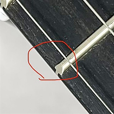 TAYLOR 【夏のボーナスセール】 214ce Plus Special Edition (Trans Blue) テイラー 画像10
