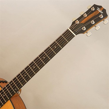 TAYLOR 【夏先取り大特価セール】 117e テイラー 画像7