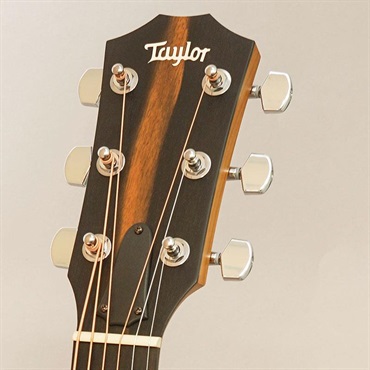 TAYLOR 【夏先取り大特価セール】 117e テイラー 画像9