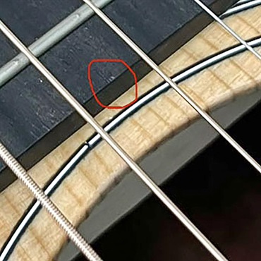 TAYLOR 【夏先取り大特価セール】 117e テイラー 画像10
