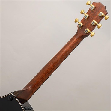 TAYLOR 【夏先取り大特価セール】 Builder's Edition 814ce Honduran / Adirondack (Shade Edge Burst)  テイラー 画像9