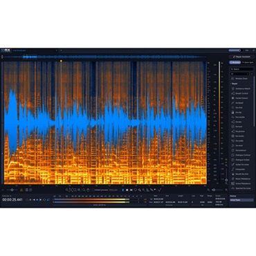 iZotope RX 12 Standard: Crossgrade from any paid iZotope product (アイゾトープ)(オーディオリペア)(プラグインソフト)(オンライン納品)(2時間以内に納品) 画像1