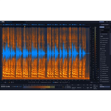 iZotope RX 12 Advanced: Update from RX 10 Advanced (アイゾトープ)(オーディオリペア)(プラグインソフト)(オンライン納品)(2時間以内に納品) 画像1