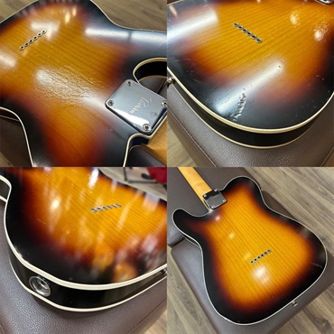 Provision USED 中古 TL Type (3Tone Sunburst) プロヴィジョン 画像9