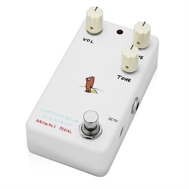 Animals Pedal Surfing Bear Overdrive 画像2