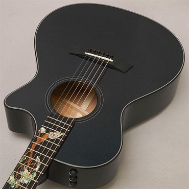 TAYLOR 【夏のボーナスセール】 Custom GCce All Shamel Ash Dark Turquoise Metallic テイラー 画像4