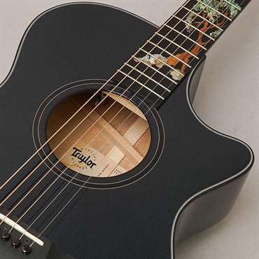 TAYLOR 【夏のボーナスセール】 Custom GCce All Shamel Ash Dark Turquoise Metallic テイラー 画像6