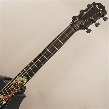 TAYLOR 【夏のボーナスセール】 Custom GCce All Shamel Ash Dark Turquoise Metallic テイラー 画像8