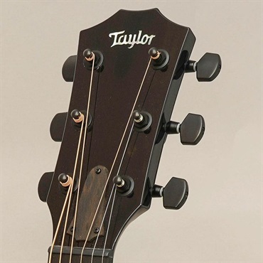 TAYLOR 【夏のボーナスセール】 Custom GCce All Shamel Ash Dark Turquoise Metallic テイラー 画像10