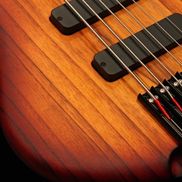 S.Martyn Custom Basses Element 6st / 32 (Honeyburst Matte) 画像3