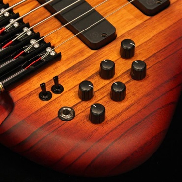 S.Martyn Custom Basses Element 6st / 32 (Honeyburst Matte) 画像4