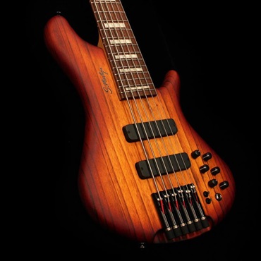 S.Martyn Custom Basses Element 6st / 32 (Honeyburst Matte) 画像5