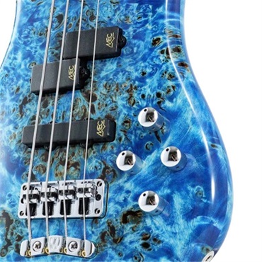 Warwick Pro Series Streamer LX 4st Birdseye Poplar Top (Bleached Blue TP HP) [Ikebe 50th Anniversary Special Edition] #013977 画像3