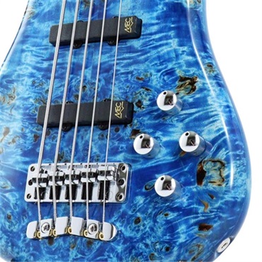Warwick Pro Series Streamer LX 5st Birdseye Poplar Top (Bleached Blue TP HP) [Ikebe 50th Anniversary Special Edition] #014000 画像3