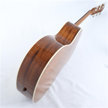 TAYLOR Gold Label 512e テイラー 画像10