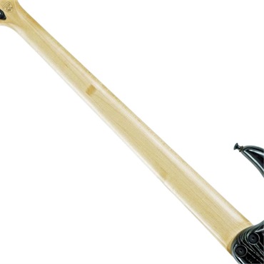 DINGWALL USED 中古 Z2 5st [Black Speedbards/Glockenklang 3EQ with mini SW] (Transparent Black & Silver Ceruse) 画像8