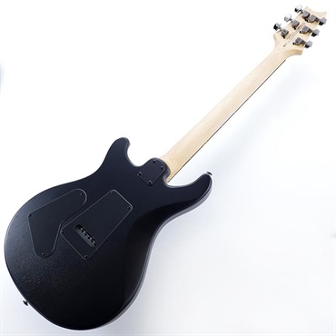 P.R.S. USED 中古 SE Swamp Ash CE 24 Sandblasted Limited Edition (Sandblasted White) SN.CTIG035031 画像2
