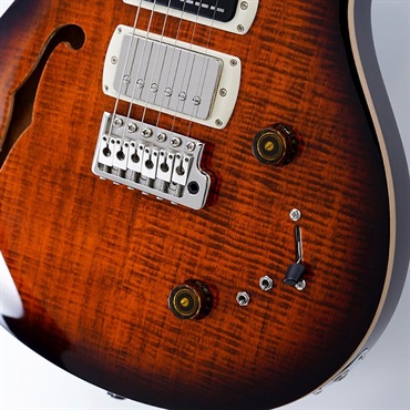 P.R.S. USED 中古 SE Special Semi-Hollow (Orange Tiger Smokeburst) SN.CTIH028650 画像4