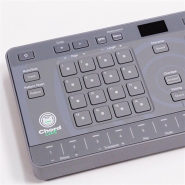 AlphaTheta USED 中古 CHORDCAT 画像1