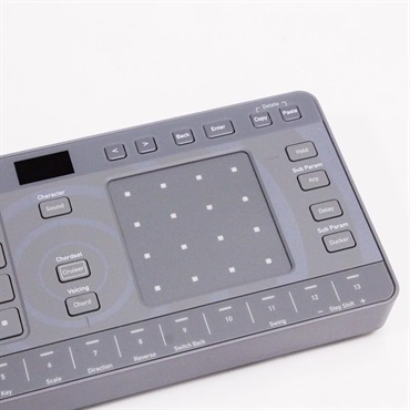 AlphaTheta USED 中古 CHORDCAT 画像2