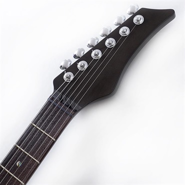 EVO 0101Z Trem Chemical Polishing 少数入荷！ 画像8