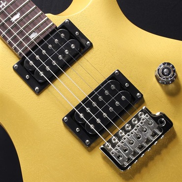 P.R.S. USED 中古 SE CE 24 Standard Satin (Metallic Gold) #CTI G058649 画像3