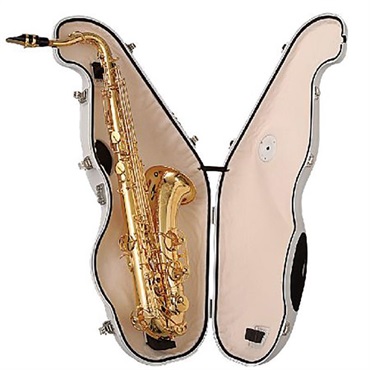 BEST BRASS 【お取り寄せ品】テナーサックス用消音器 ベストブラス イーサックス (e-Sax)(ES2-TS) 画像1