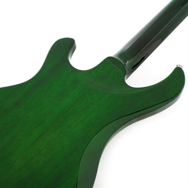 Gibson Victory Figured Top (Iguana Burst) 【S/N 203150126】 画像5