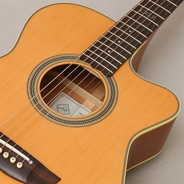 MATON Master Built TE.Personal Cutaway メイトン 画像6