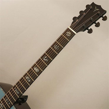 K.Yairi YW-300G neo Kヤイリ 画像8