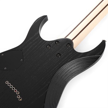 Ibanez Prestige RG5328R-LDK (Lightning Through A Dark) 画像5