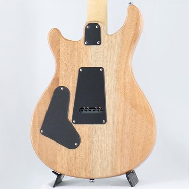 P.R.S. SE CE 24 (Turquoise) 【2024年生産品】 画像3