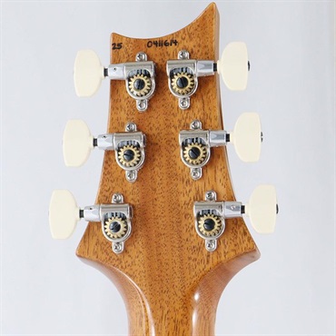 P.R.S. McCarty 594 Hollowbody II (Faded Blue Jean) [SN.0411614] 【2025年生産品】 画像9