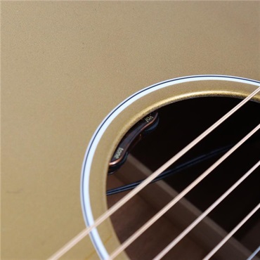 Gibson J-45 Standard (Gold Top) ギブソン 画像10