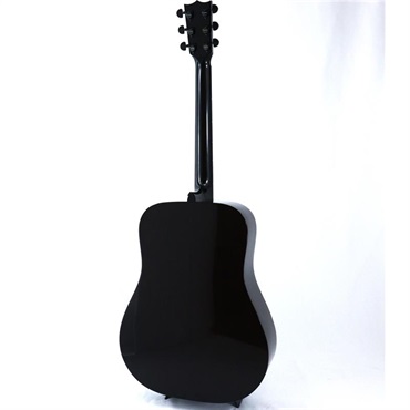 K.Yairi 【新商品】YW-300G neo Kヤイリ 画像4
