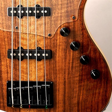 BLACK SMOKER Urbanite Series Beta J5 XL SV (Flame Walnut Top) 画像8